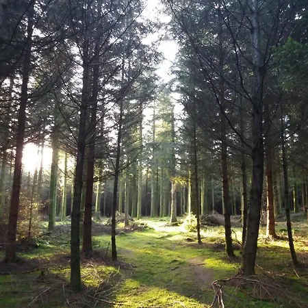 Campsite 
